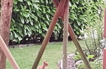 Ferienwohnung beim Bracksee - Photo 23