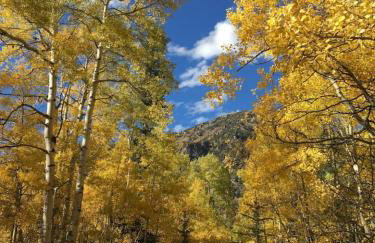 Unique Historic Mountain Cabin In Beautiful Como - Foto 31