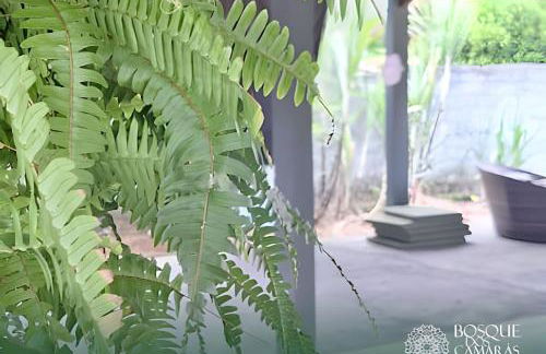 Refugio Aldeia dos Camarás - Foto 39