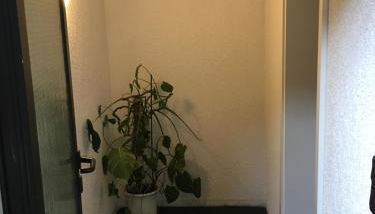 Ferienwohnung-Birlenbach - Foto 4