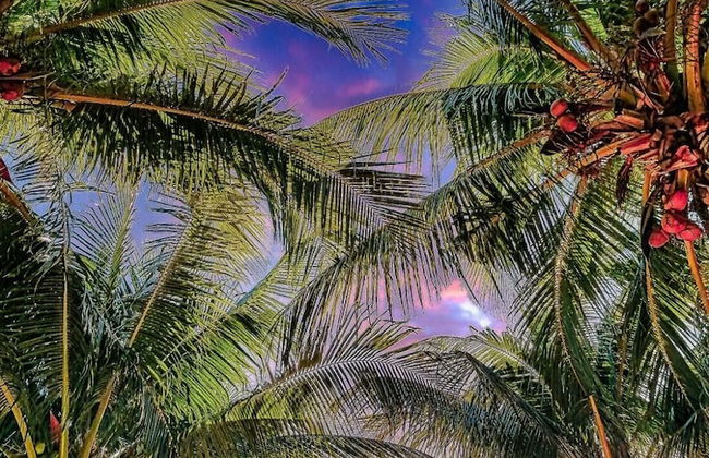 Hacienda Antigua Villa, 50m From Sandy Beach - Foto 21