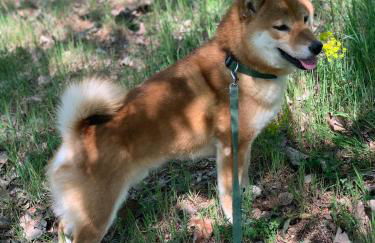 Agriturismo I Leprotti - Photo 61