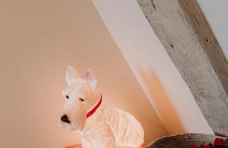 le bois de Selves - Maison authentique avec vue exceptionnelle - Foto 61