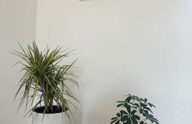 Balade en bord de Deûle - Foto 8