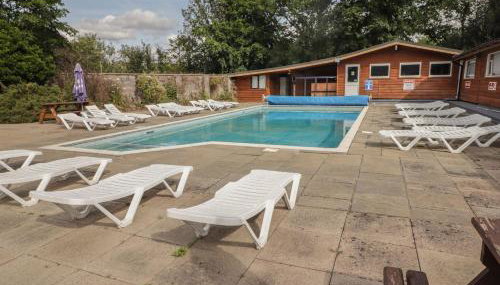 The Bird House - Foto 3