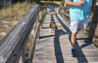 Quiet 2 bedroom condo on Gulf with pool and pond - Photo 13