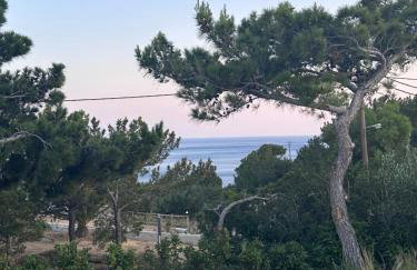 serene villas - Foto 32