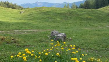 REIT IM WINKL - ValleyViewInn - Foto 4