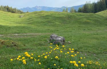 REIT IM WINKL - ValleyViewInn - Foto 4