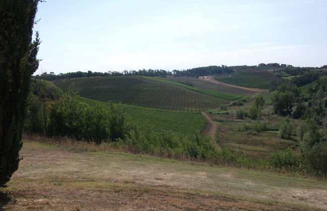 Agriturismo Musignano - Foto 73