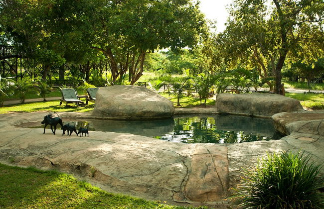 Pezulu Tree House Lodge - Foto 53