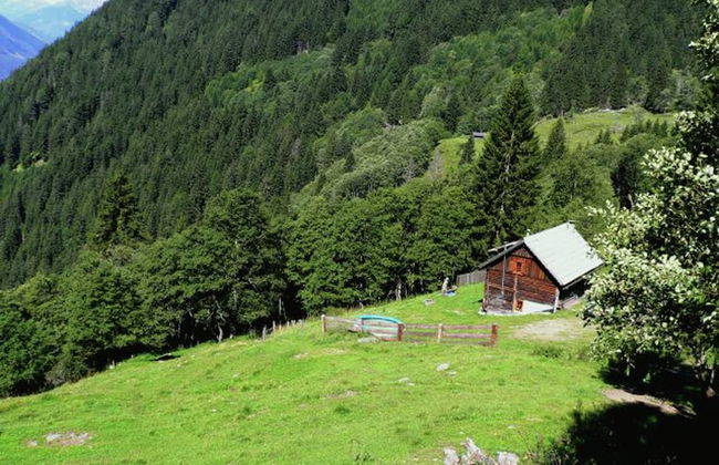 Chalet in Obervellach in Carinthia - Photo 21