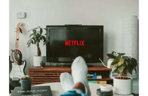 Papero rosso - Foto 22