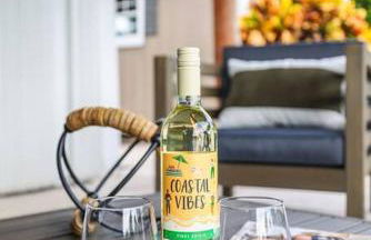 WP Delray Waterfront, Pool, Tiki Hut & Putting Grn - Foto 70