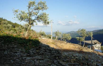 "Casa do Avô Armindo" Mountain Experience - Foto 24