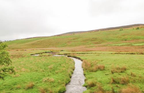 3 Tindale Terrace - Foto 36