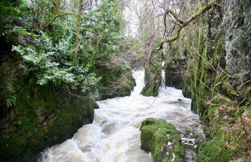 1 Bed in Powmill 95872 - Foto 16