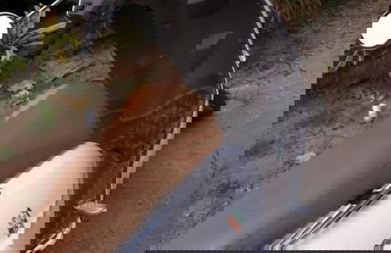 Seacret Studios - Cozy Jamaican Retreat Apts by RedAwning - Photo 16