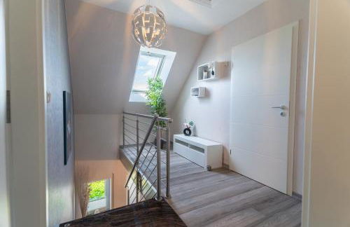 Leeloo s Sunlight - Photo 40