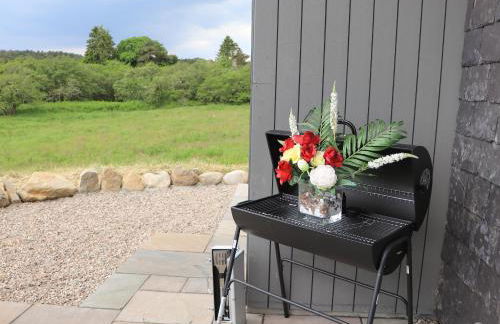 Pine Marten - Foto 39