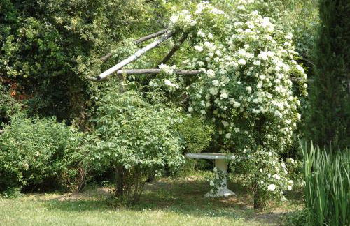 Appartamento con patio privato e giardino tra Pisa e Firenze - Foto 30