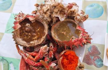 Tazones 79 VUT6993AS - Foto 59