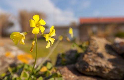 Casa da Praia em Valadares - Foto 27