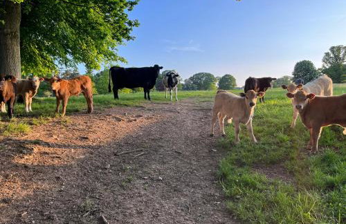 The Hayloft - Foto 33