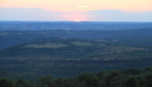 Le paradis des châtaigniers - Photo 3