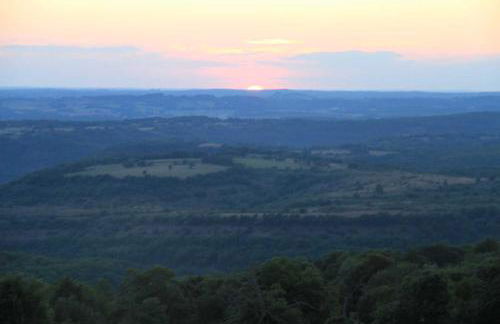 Le paradis des châtaigniers - Photo 3
