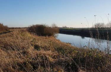 Amazingly quiet and peaceful studio getaway. - Foto 21