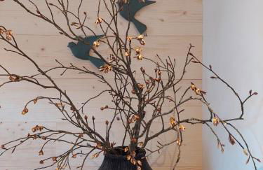 Ferienwohnungen Schneider - Foto 61