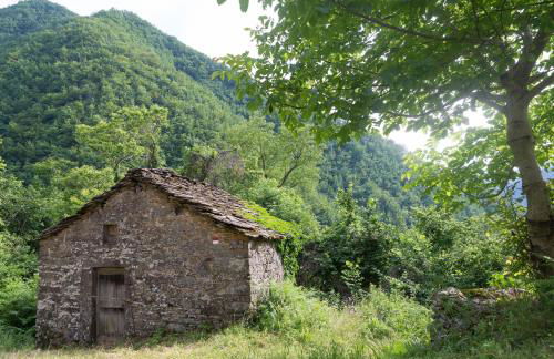 La casa nel bosco-senza auto - Foto 35
