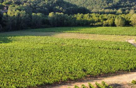 Agriturismo Barcavecchia - Foto 77