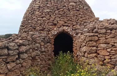La Moreneta - Foto 28
