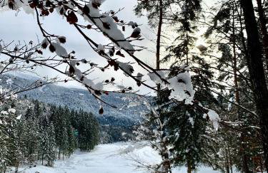 Casa di Chiara Andalo Centro - Foto 34