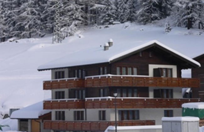 Silberdistel - Foto 1