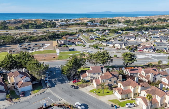 Succulents & Seashells Coastal Paradise by Beach - Foto 32