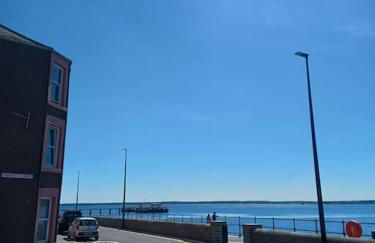 The Fuzzy Duck - Photo 25