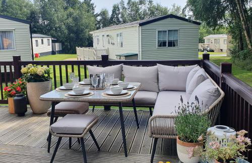 The Treeline - Foto 33