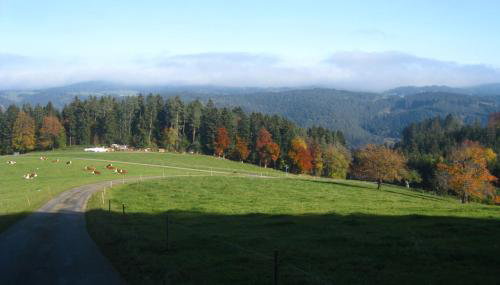 Sigmundenhof Schonach - Foto 4