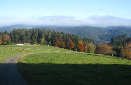 Sigmundenhof Schonach - Foto 44