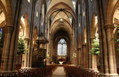 Gîte Le Marronnier, parking et terrasse au calme, entre Colmar-Riquewihr et Obernai, vue sur espaces verts et coteaux d Alsace, route du vin-châteaux - Foto 73