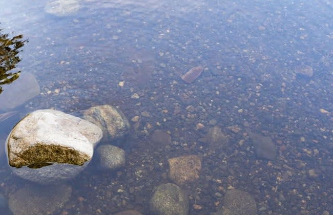 Red Cedar Haven in Sidney - Photo 36