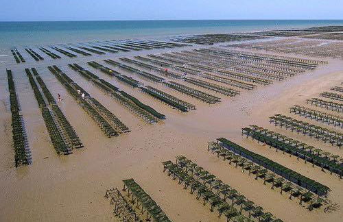 La clé des champs Maison plain pied lumineuse bien équipée, séjour spacieux, belle terrasse aménagée, garage, grand jardin clos, parking, près de Bayeux et Omaha Beach, chiens bienvenus - Foto 71