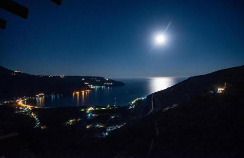 Olga's House - Foto 13