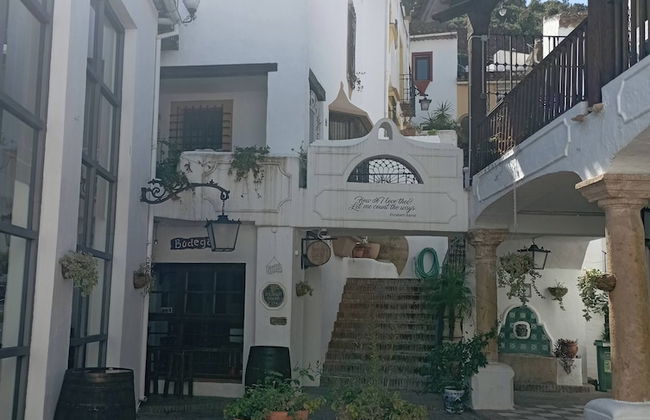 Village House Benahavis - Photo 29