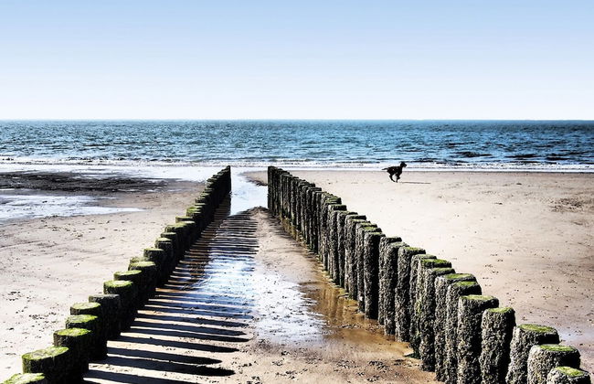 Quaint Holiday Home in Zonnemaire With Roofed Terrace - Foto 25