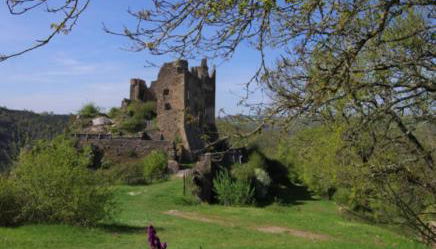 Gite L'hirondelle en Auvergne - Photo 3