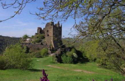 Gite la Tourterelle en Auvergne - Photo 30